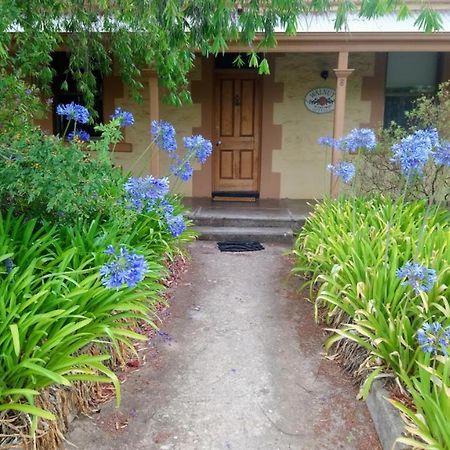 Angaston Walnut Cottage מראה חיצוני תמונה