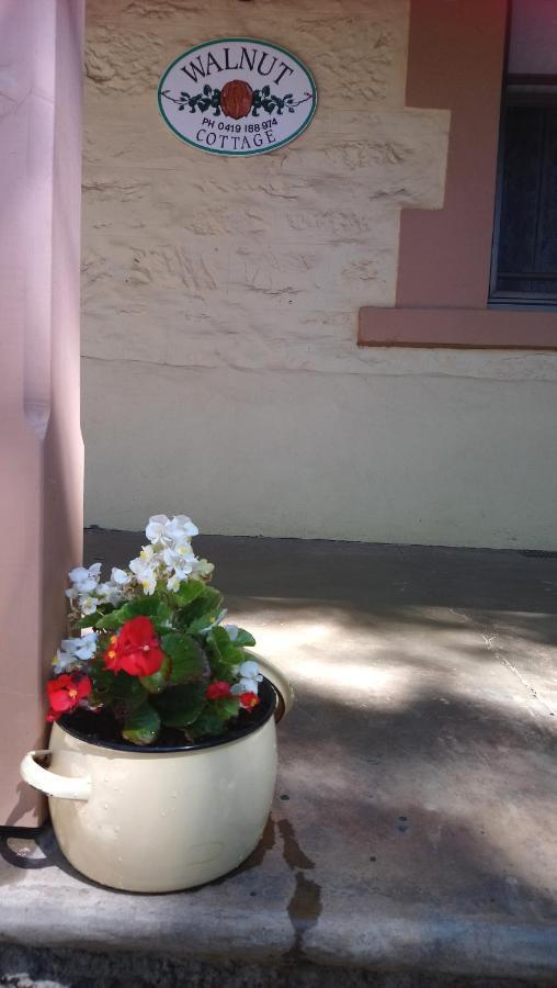 Angaston Walnut Cottage מראה חיצוני תמונה