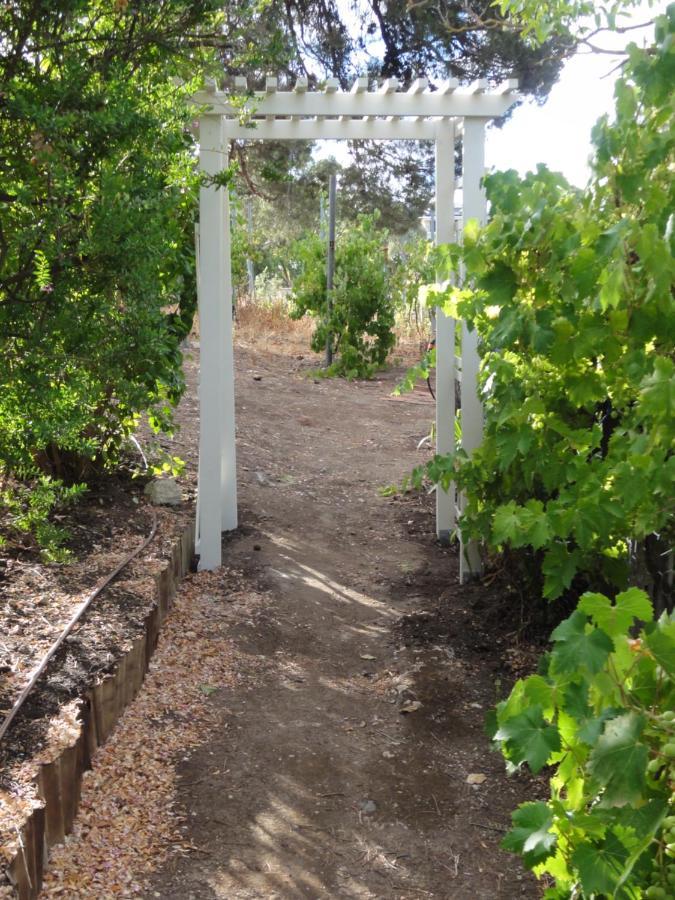 Angaston Walnut Cottage מראה חיצוני תמונה