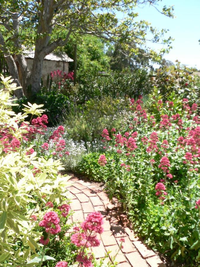 Angaston Walnut Cottage חדר תמונה